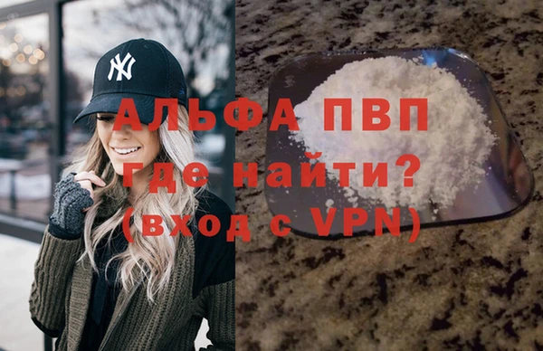 PSILOCYBIN Аркадак
