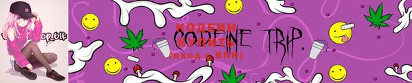 PSILOCYBIN Аркадак