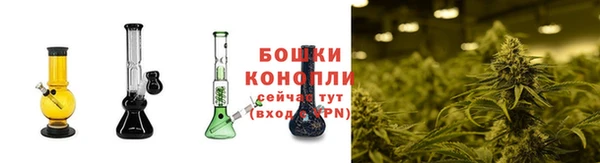амф Арсеньев