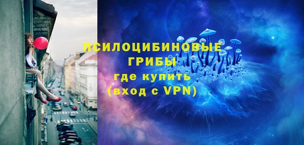 PSILOCYBIN Аркадак