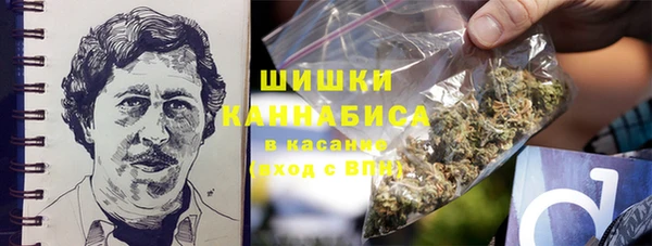 PSILOCYBIN Аркадак