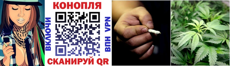 как найти закладки  Змеиногорск  Бошки марихуана THC 21% 